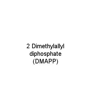 2 Dimethylallyl diphosphate (DMAPP)